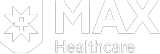 max logo