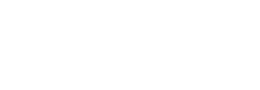 schema logo
